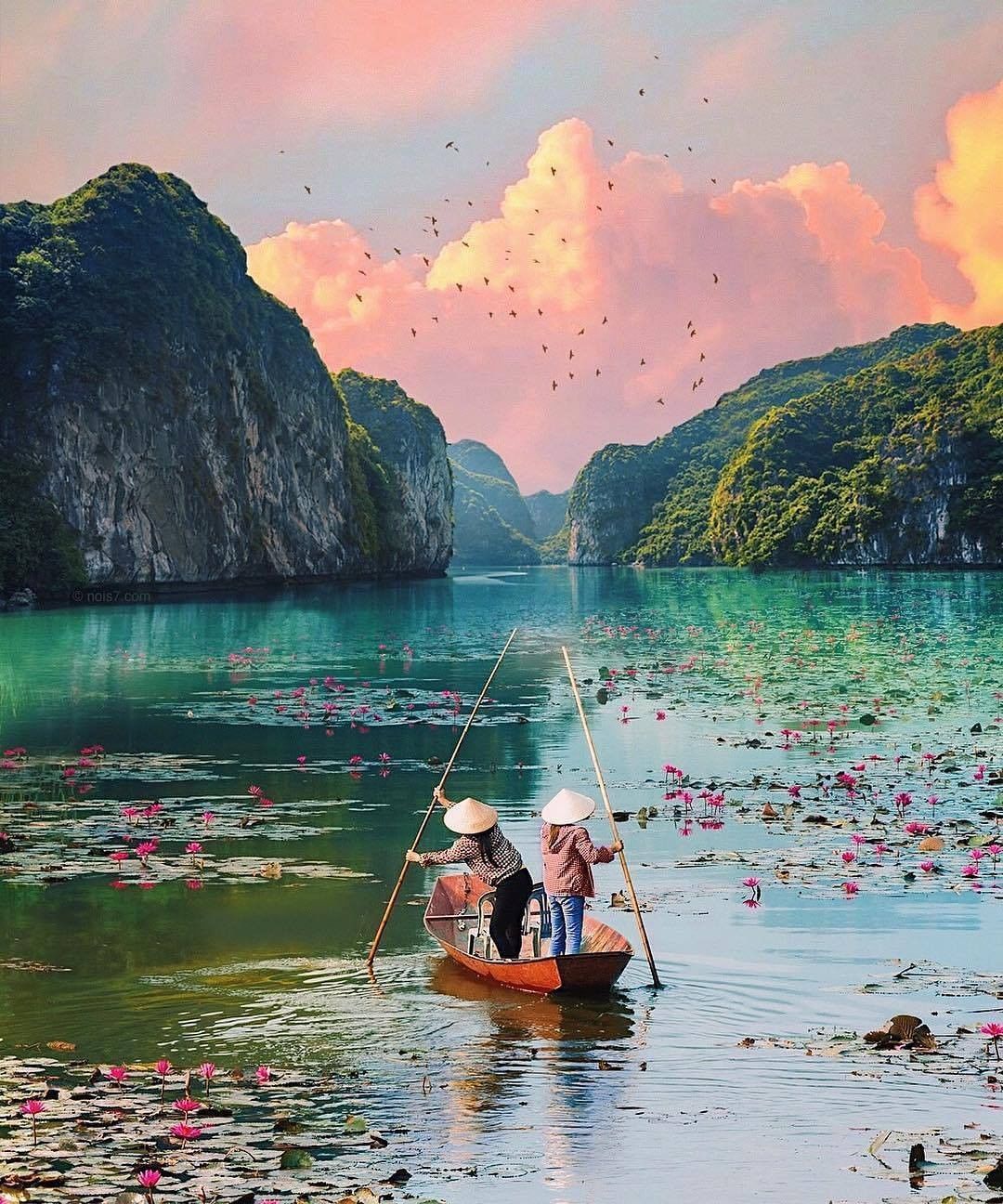 Tam Coc Ninh Binh
